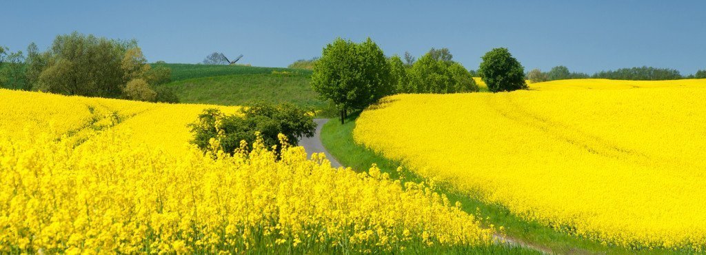 Altenpflegeheim Rickling Anfahrt